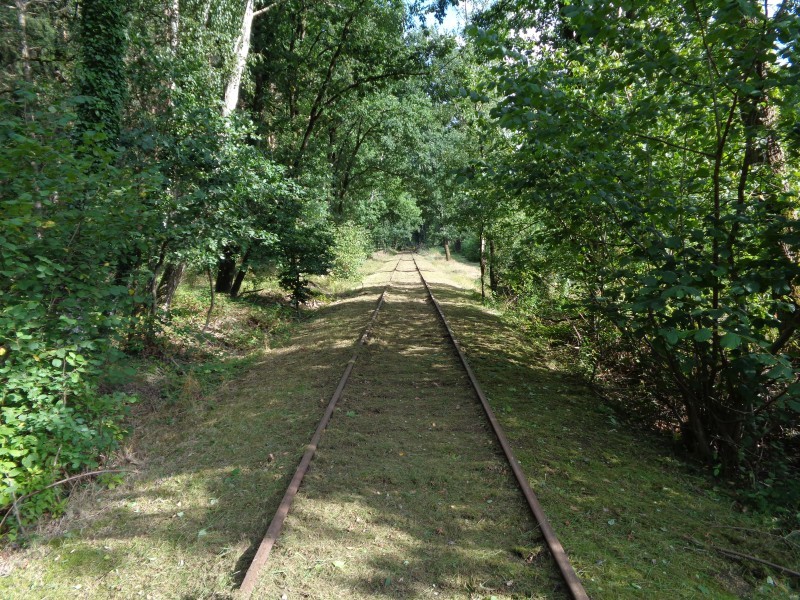 ZWNEGI10